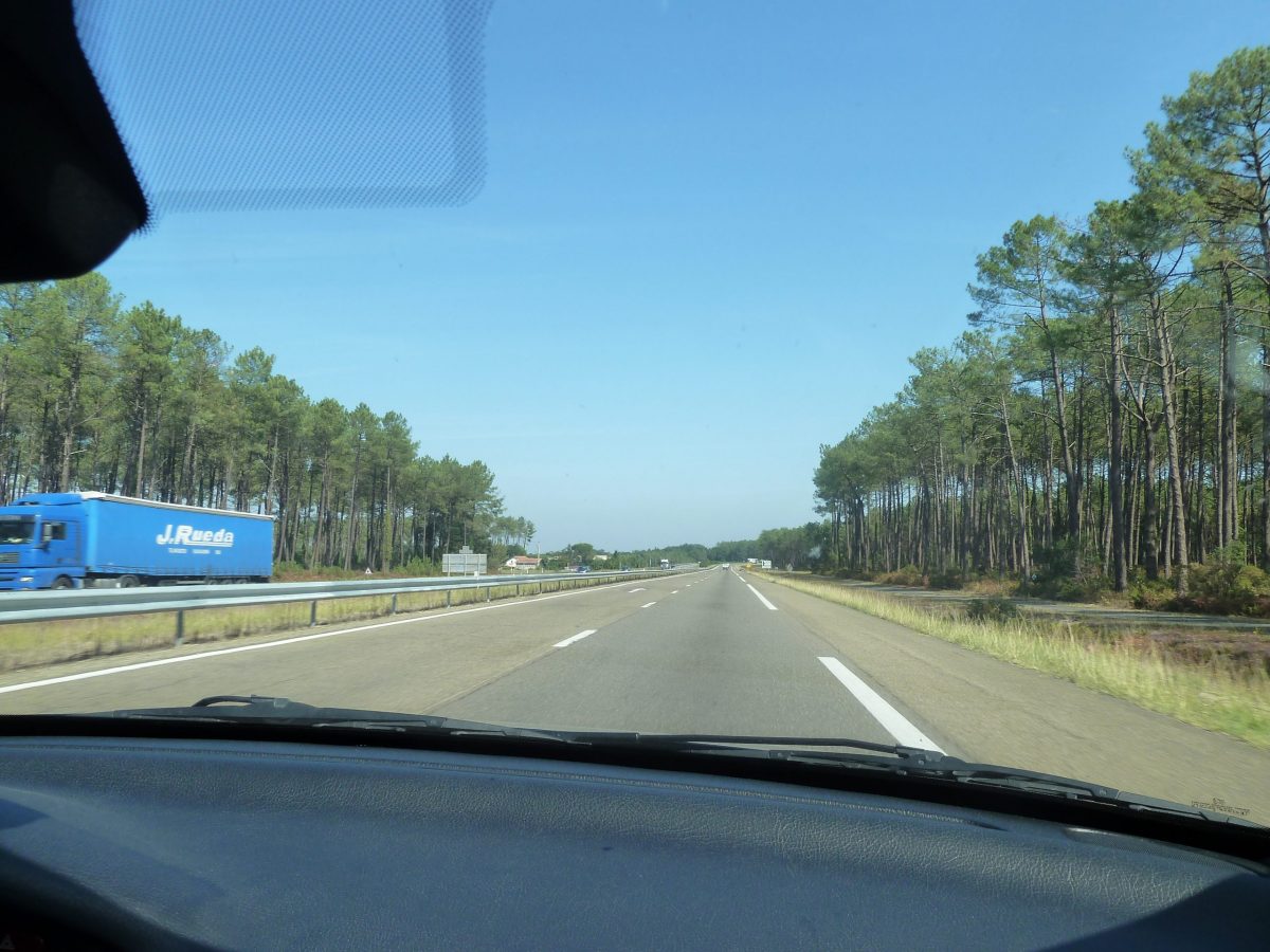 Bosque de las Landas de Gascuña