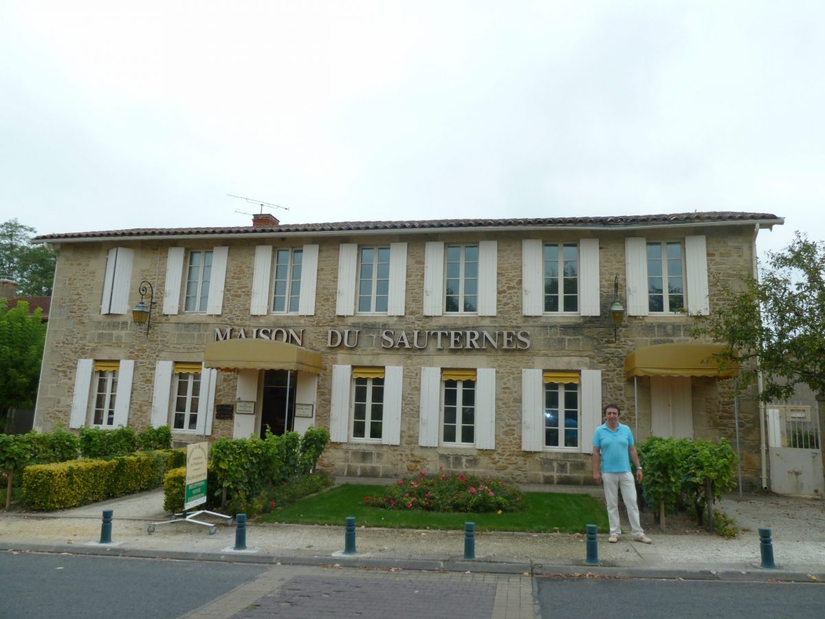 Viñedos de Sauternes