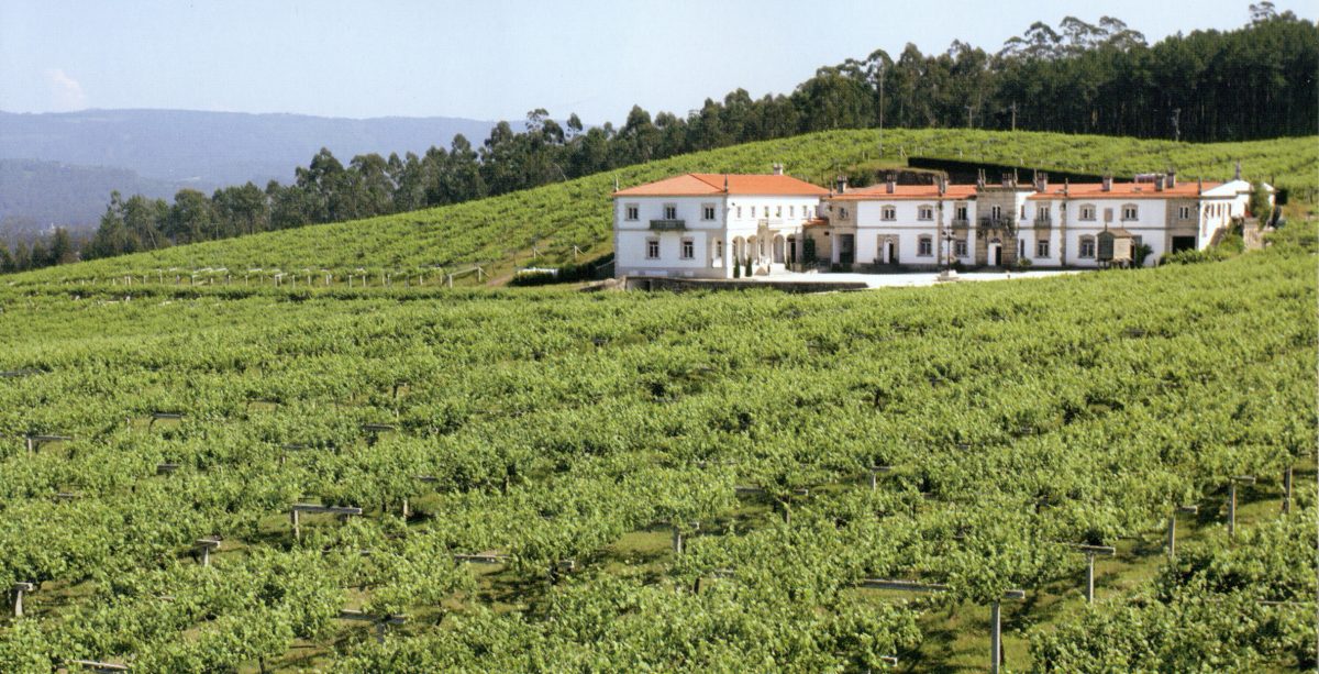 Bodega Gran Bazán en Cambados