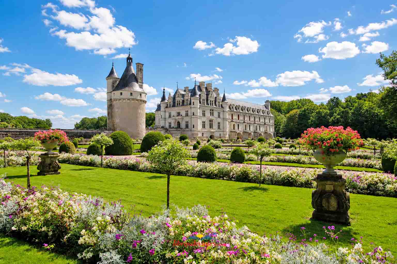 11 castillos que ver en el Valle del Loira Chenonceau