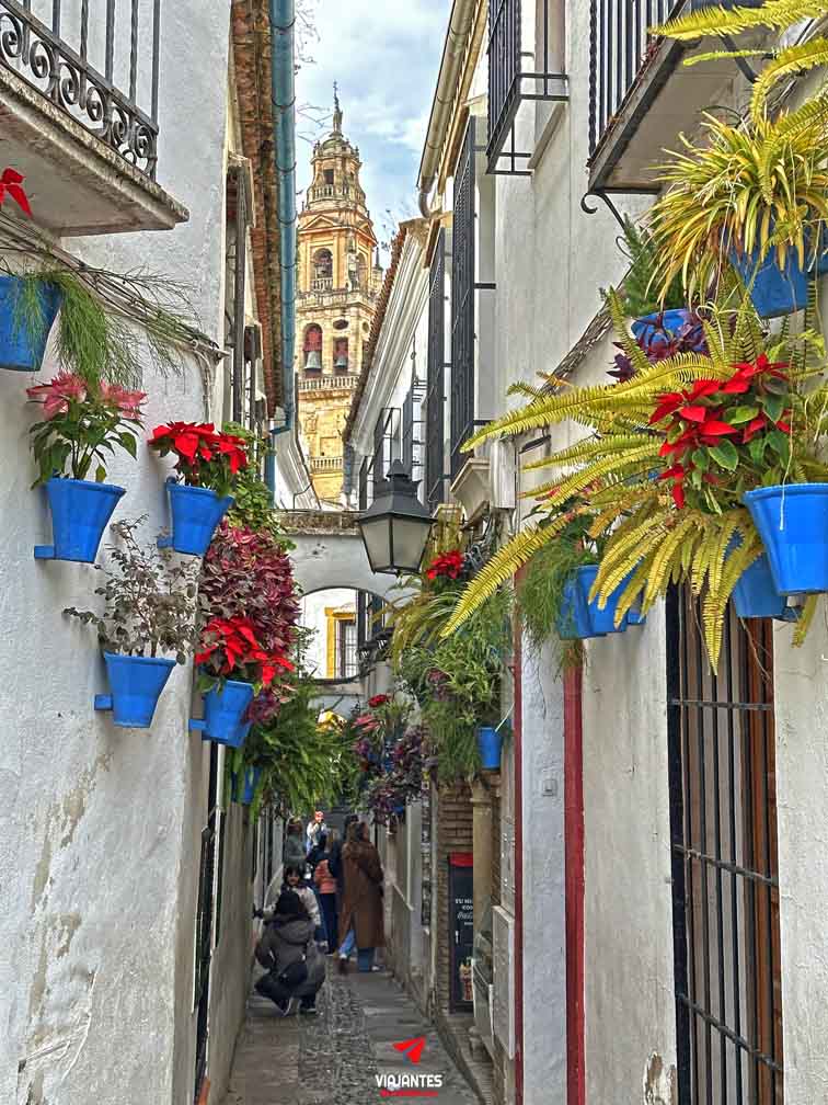 12 lugares que ver en Córdoba calleja de las Flores