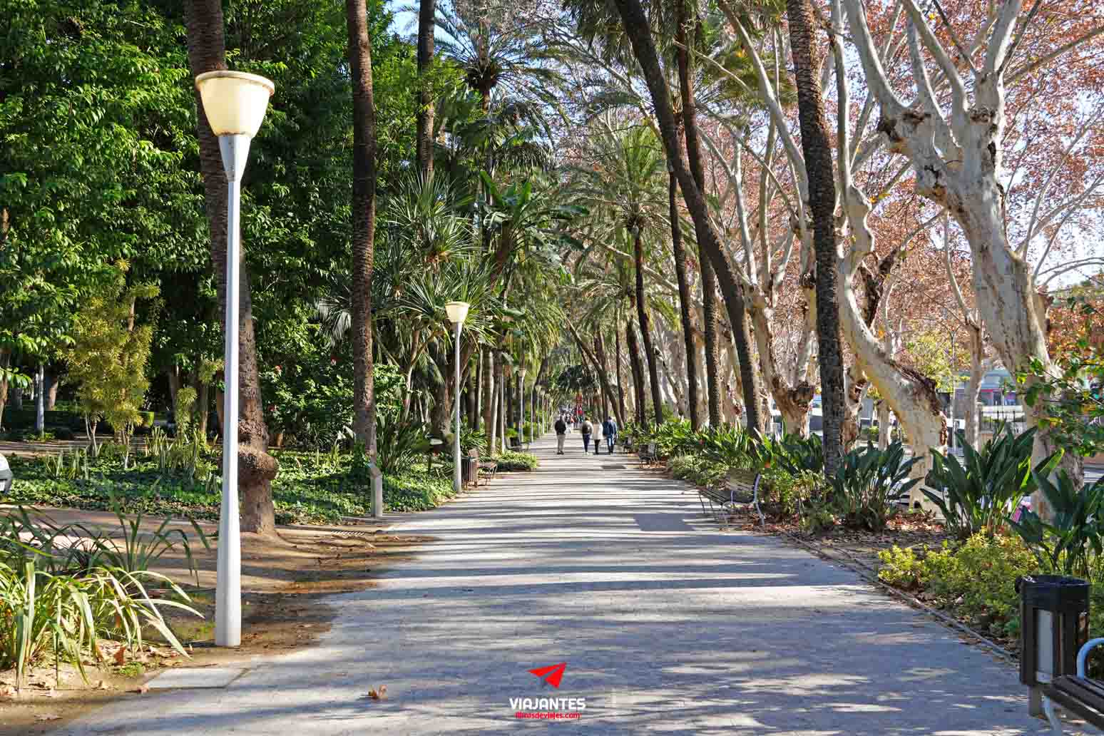 Parque de Málaga y Paseo del Parque
