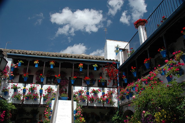 12 lugares que ver en Córdoba Patios
