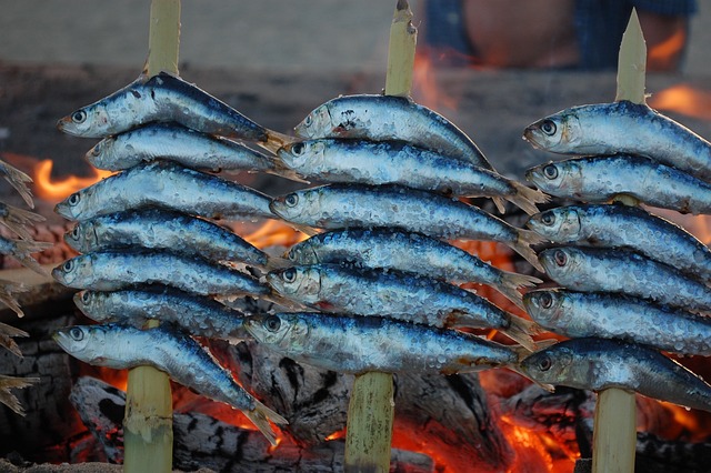 12 lugares que ver en Málaga espeto de sardinas