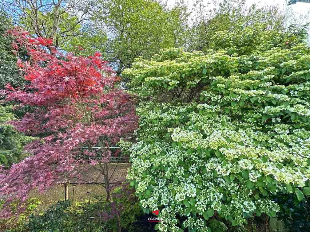 12 lugares que ver en Gijón Jardín Botánico Atlántico