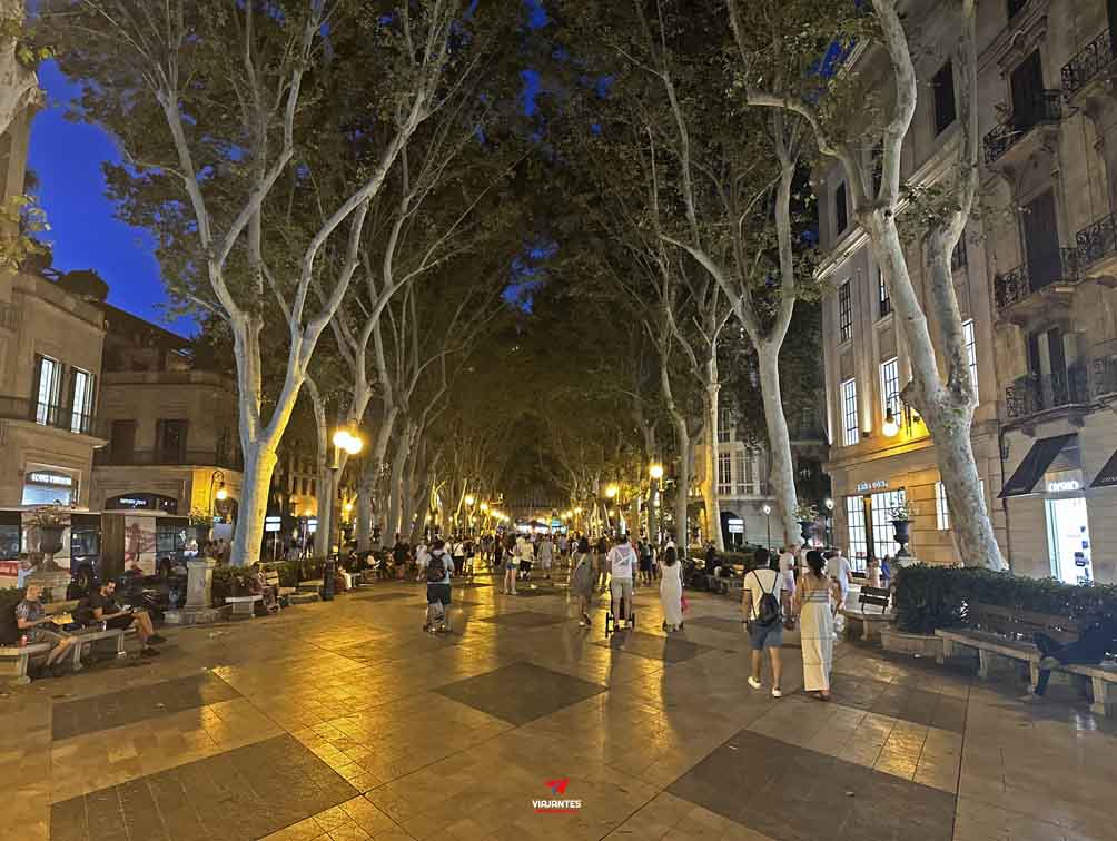 18 lugares que ver en Palma de Mallorca 15 18 lugares que ver en Palma de Mallorca Passeig des Born