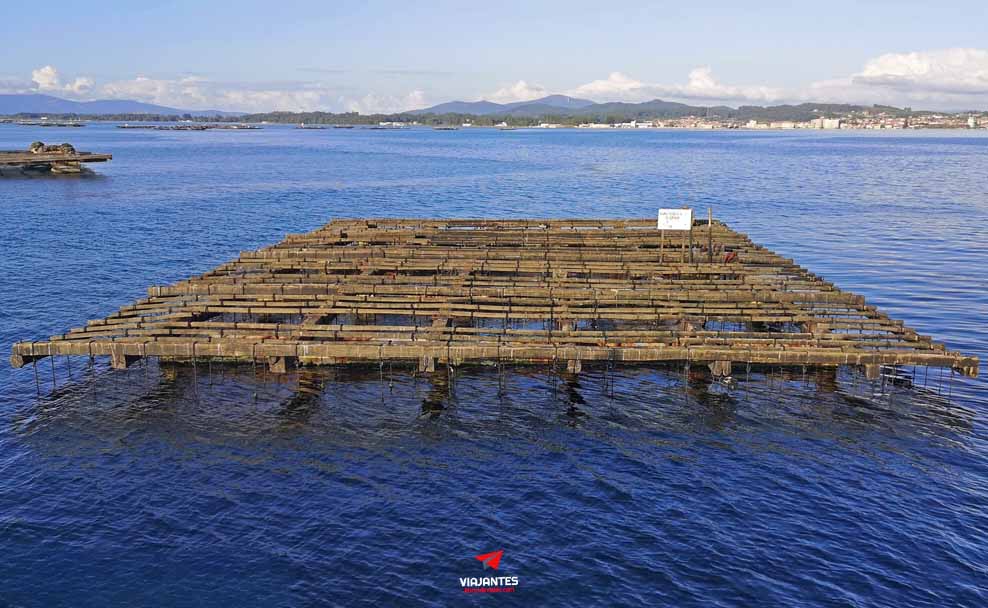 11 lugares que ver en O Grove: playas y gastronomía 20 11 lugares que ver en O Grove Bateas